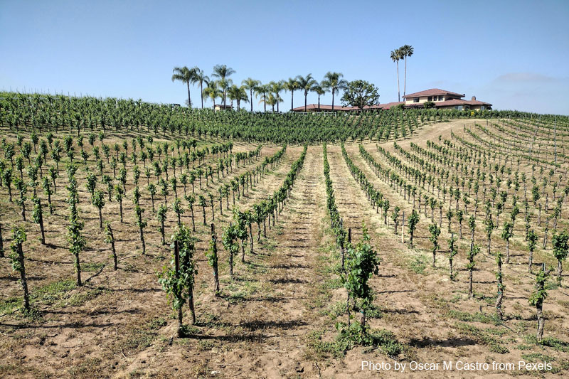Temecula